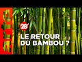 Le bambou matriau lowtech et ancestral  28 minutes  arte