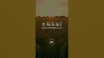 ماهر المعيقلي - سورة الاخلاص - تلاوة خاشعة