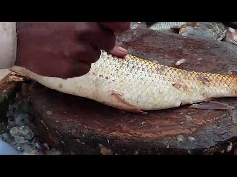 ** Amazing Mrigal carp fish cutting (video 3)مچھلی کو کاٹنے کا بہترین طریقہ اس ویڈیو میں دیکھیں ***