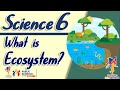 SCIENCE 6- ECOSYSTEM | Grade 6