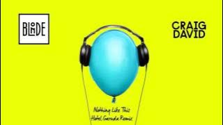 Download lagu Blonde and Craig David - Nothing Like This (Hotel Garuda Remix)