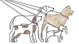 Colour with me | Art for kids | Dogs | Free colouring pages!