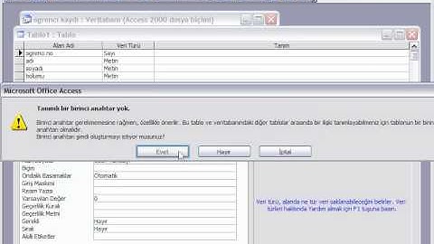 tablo olusturma ve veri girişi