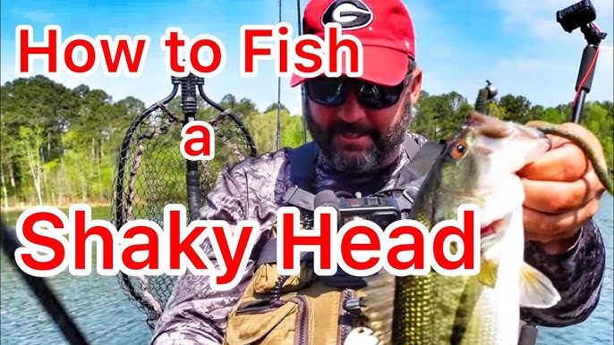 The BEST Lure and Technique to Fish Grass Lakes (how to fish a speed worm)  