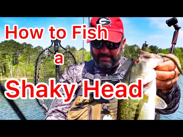 How to Fish a Shaky Head - Bass Fishing 