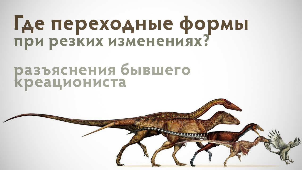 Развитие динозавров. Эволюция динозавров. Динозавры предки птиц. Динозавры эволюционировали. Птицы произошли от динозавров.