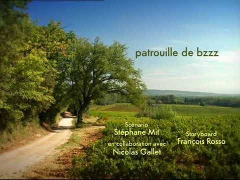 Patrouille de bzzz