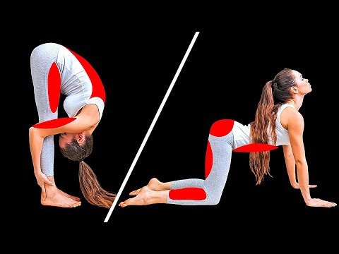 Video: Cách Yoga Biến đổi Cơ Thể Và Sức Khỏe