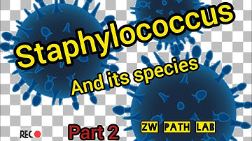 staphylococcus aureus       part 2