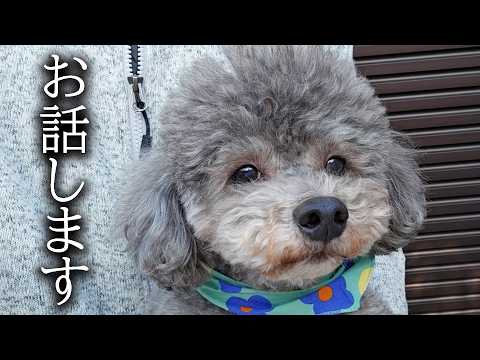 今後について皆様にお知らせがあります...