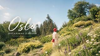 Oslo Botanical Garden: Norway's Summer in Full Bloom 🌸 screenshot 2