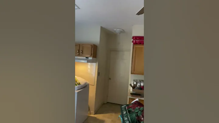 IMG 1975