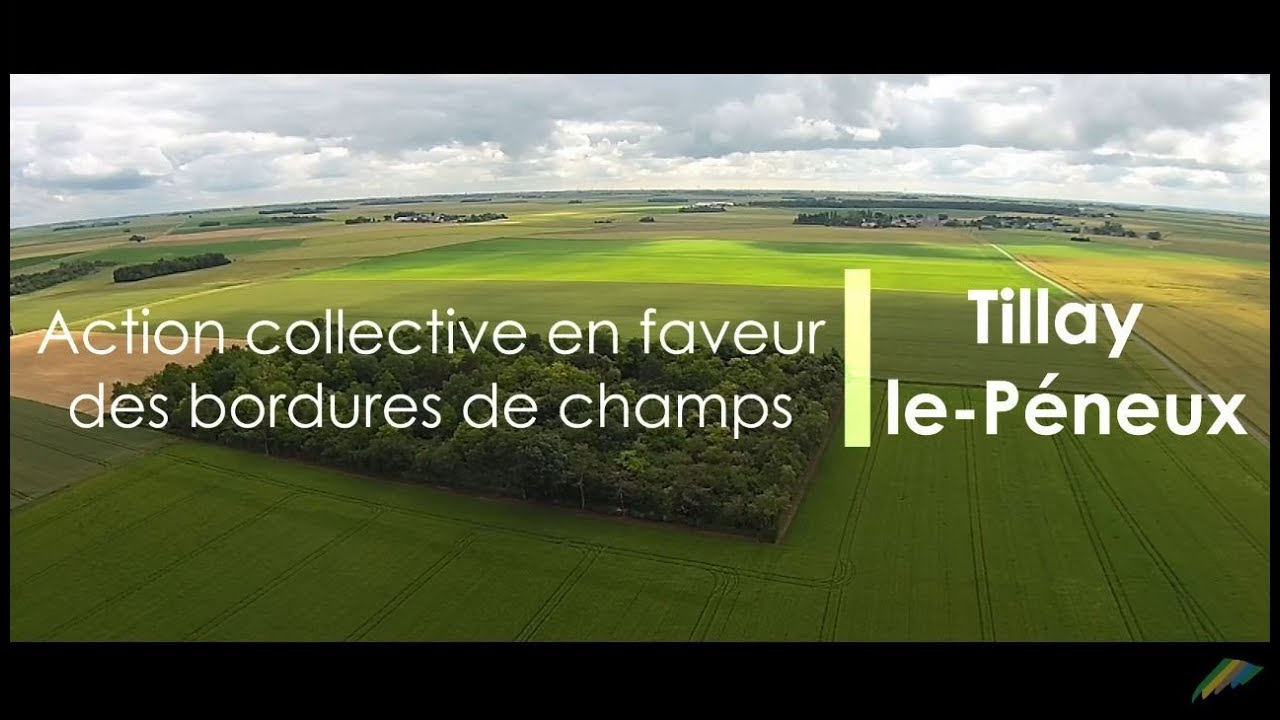 action-collective-en-faveur-des-bordures-de-champs-tillay-le-p-neux
