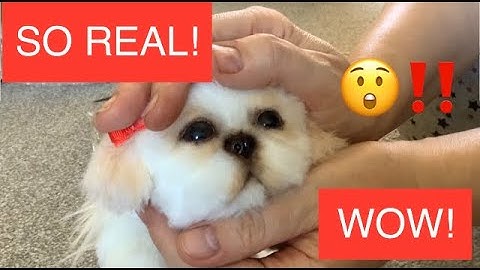 Ultra Realistic Puppy Reborn Puppy Etsy Art Doll Lifelike Dog Tiny Teacup Shih Tzu Puppy Unboxing
