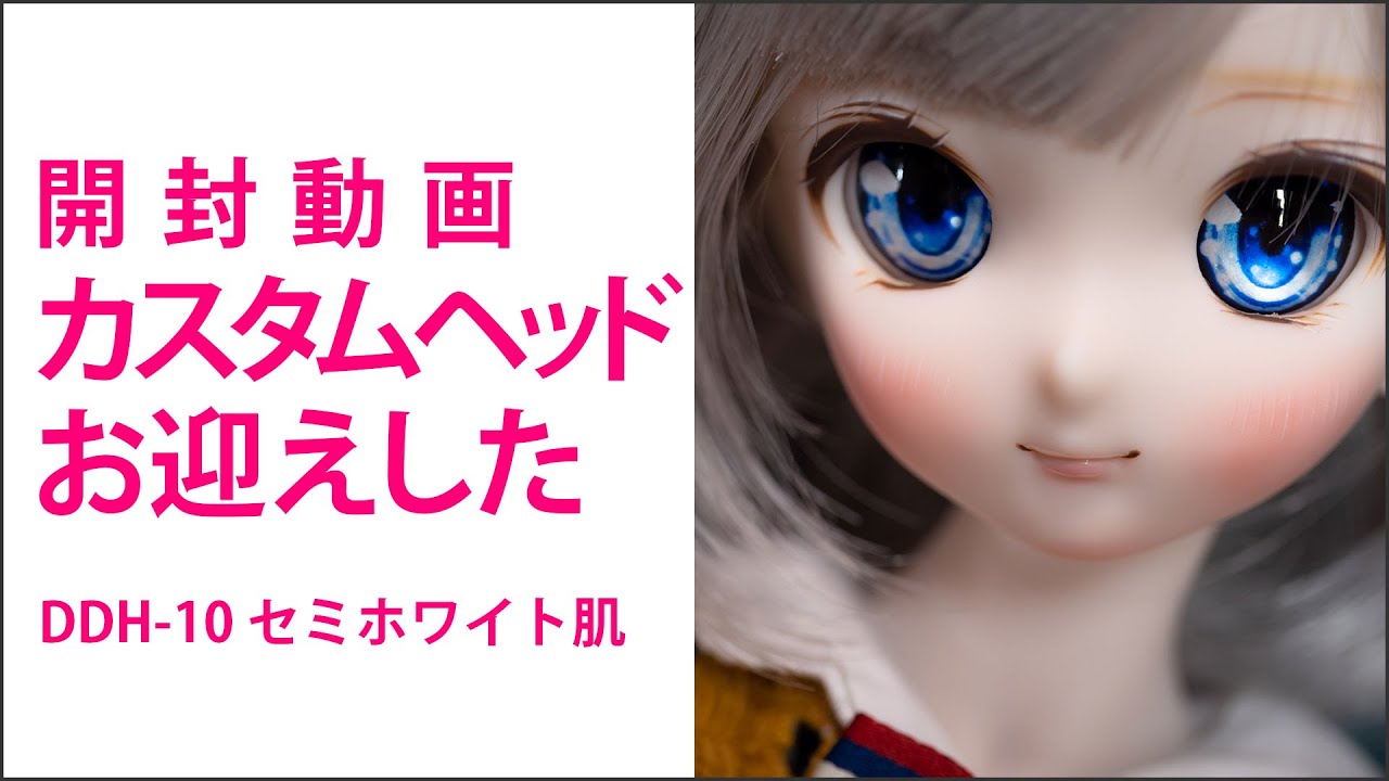 開封動画］ カスタムヘッドをお迎えした #ドルフィードリーム