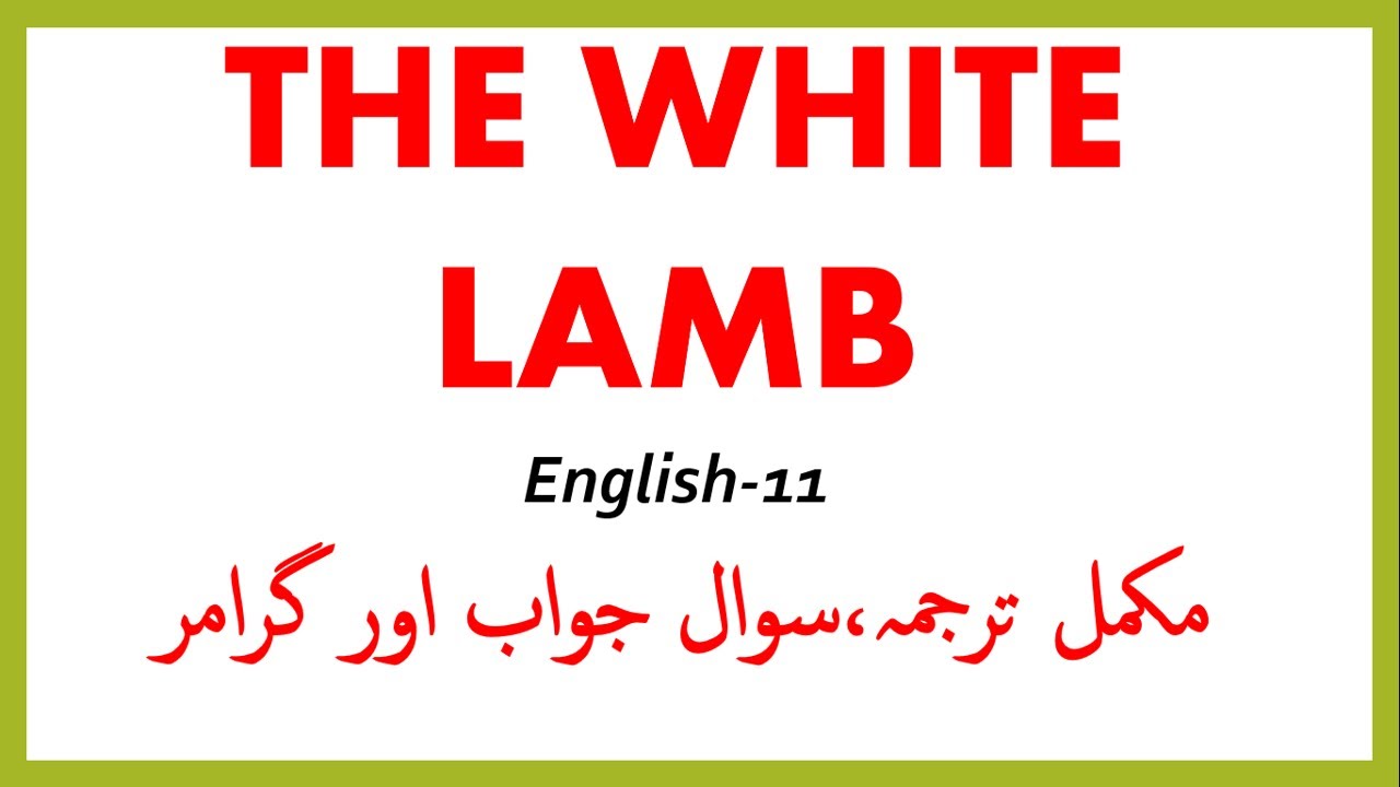 The White Lamb Question Answers Translation Grammar 11th 1st Year