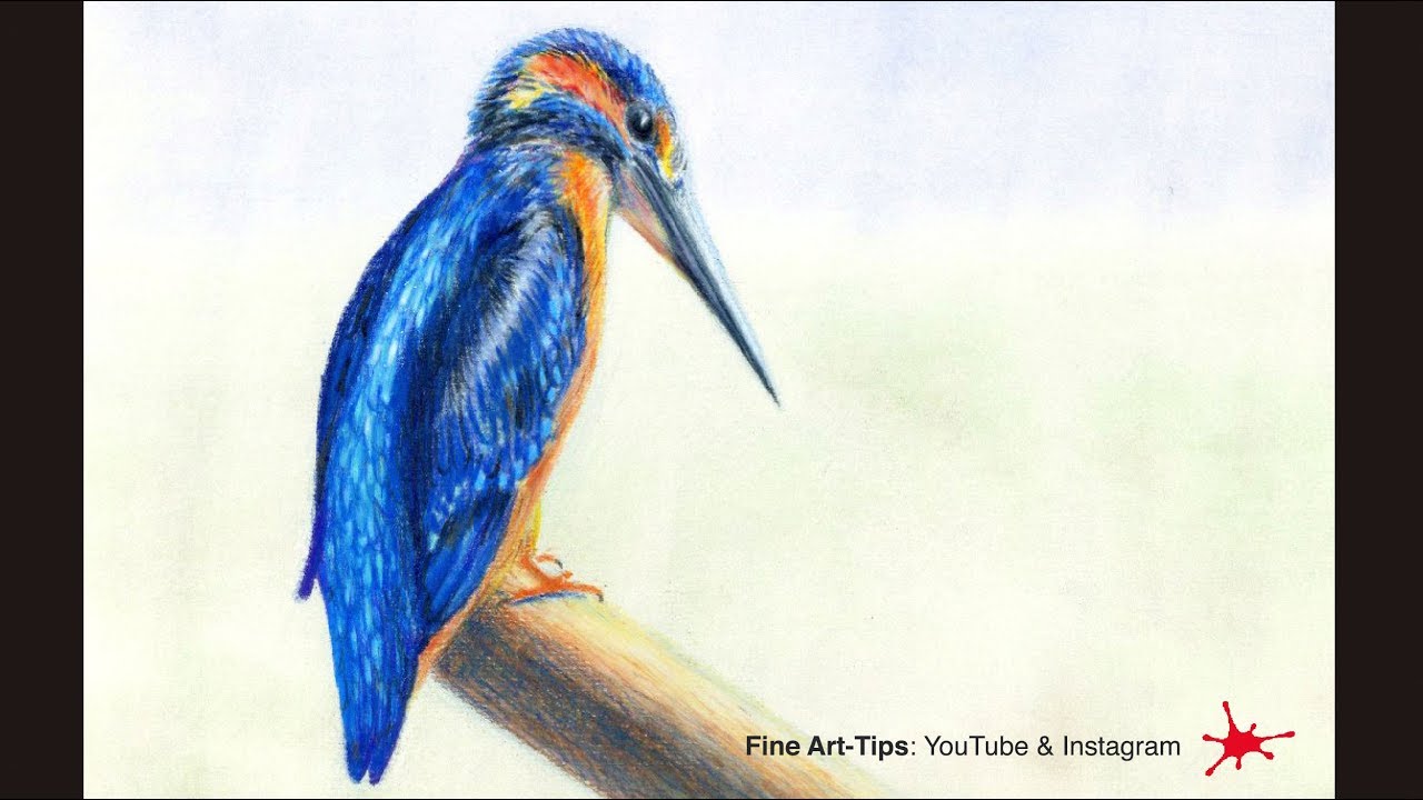 HOW TO DRAW A KINGFISHER WITH COLOR PENCILS - Narrated