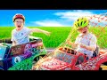 Monster Truck Kids Smash Crash and Destroy Junk Food  - Braxton and Ryder Video for Kids