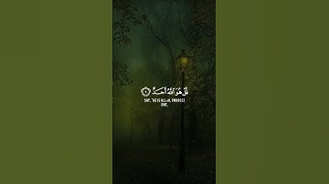 سورة الإخلاص فارس عباد