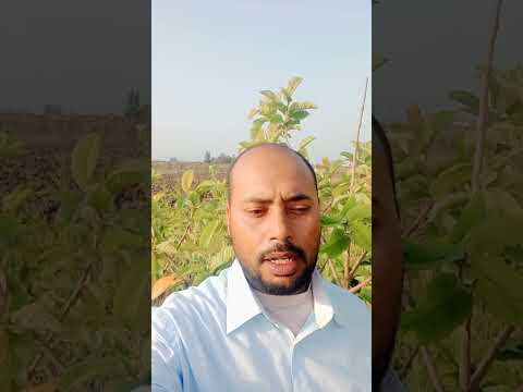 سورة الشرح حسام حسن الفقى