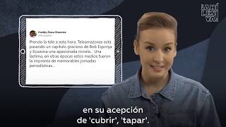 Ecuador Se Revela, Inna Afinogenova, 2019