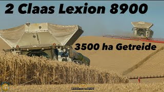 Mehr geht nicht! 3500ha Getreide mit 2 Lexion 8900 & 18.000L Korntank 13,80m Convio Schneidwerk 2022