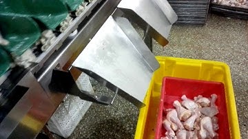 round conveyor weight sorting machine for chicken leg sorting