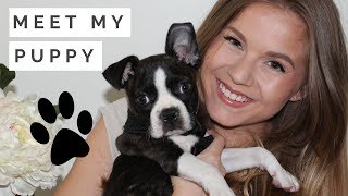 MY PUPPY PICKS OUT MY MAKEUP\/\/ Meet my Dog!