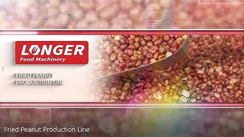 Fried Peanut Production Line/ Groundnut Frying Machine Price