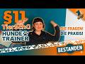 Hundetrainer-Prüfung §11 bestehen: Ablauf, Fachgespräch &amp; Praxis-Hacks