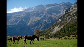 Llanos de La Larri - Pirineos