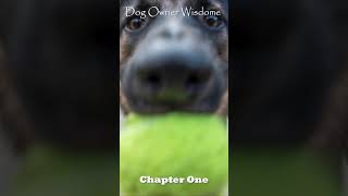 Dog Owner Wisdom