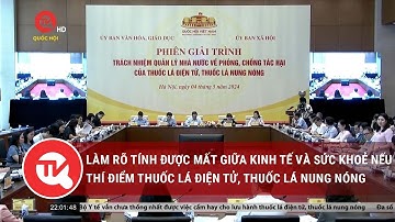 Làm rõ tính được mất giữa kinh tế và sức khoẻ nếu thí điểm thuốc lá điện tử, thuốc lá nung nóng