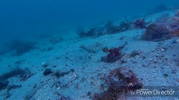 Testing the openrov trident