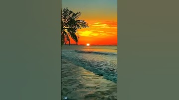 روائع الشيخ الدوسري حفظه الله قران كريم راحه نفسيه #اكسبلور #لايك #duet #تيك_توك