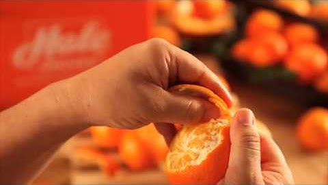 Hale Groves Temple Oranges