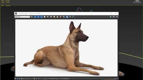 Malinois Dog 3D Model