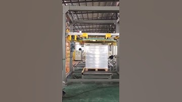 Auto online high speed rotary ring wrapping machine