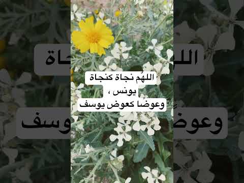 الله م نجاة كنجاة يونس وعوض ا كعوض يوسف