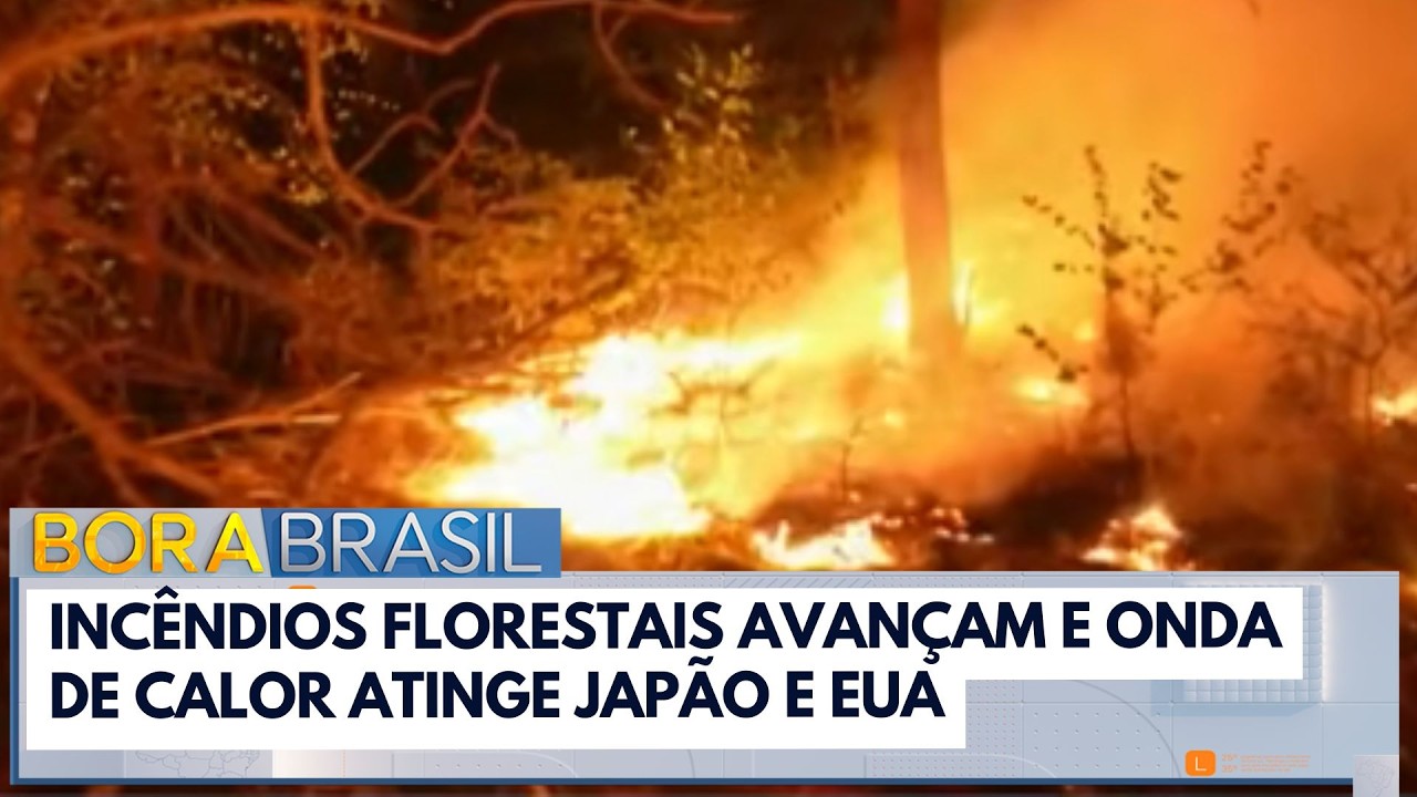 Incêndios florestais avançam e onda de calor atinge Japão e EUA