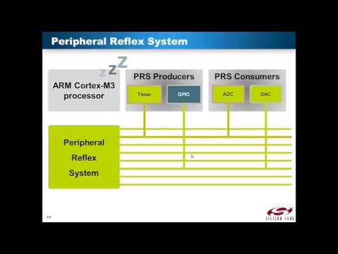 Peripheral Reflex System