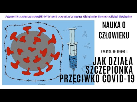 Szczepionka przeciwko COVID-19 - Jak działa szczepionka mRNA Pfizer - Szczepionka na koronawirusa