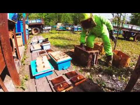 Самое короткое правильное