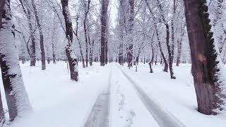 &quot;Зима в Таразе&quot; #тараз