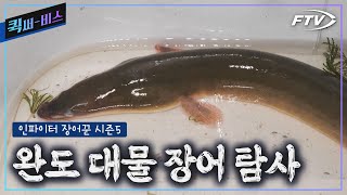 [Full/퀵써-비스]완도 대물장어 긴장해! 인파이터들이 모여든다![인파이터장어꾼 시즌5/2회]