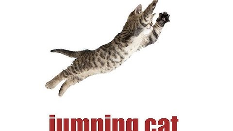 Tự học Tiếng Anh - Từ ghép(Speaking English For Beginners - Couplets) | ABCFox