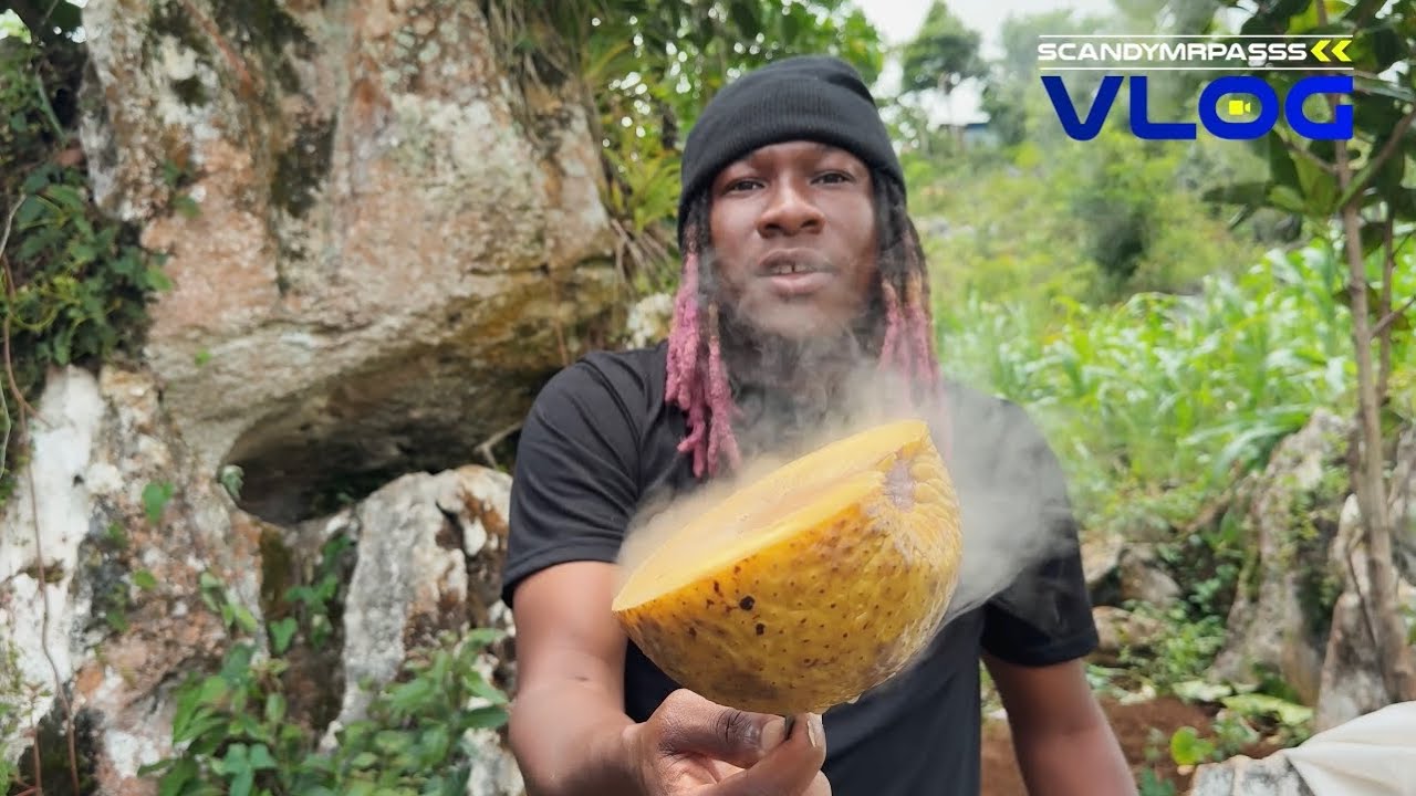 ⁠kouri vin gade @ScandyMrpasssVlog kap fe Tontonm nan mòn 😂