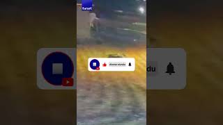 Köpek Köye Inen 4 Kurtla Savaştı