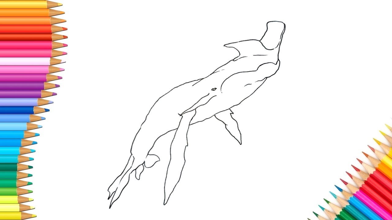 How To Draw Tulkun (Avatar: The Way Of Water) - YouTube