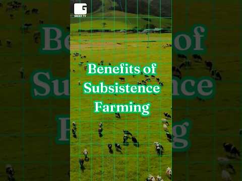 Video: I subsistenslandbrug en landmand?